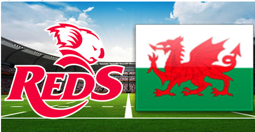 Queensland Reds vs Wales Rugby 19 July 2024 Summer Nations Full Match Replay